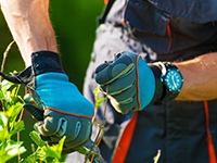 Uw hovenier aan het woord